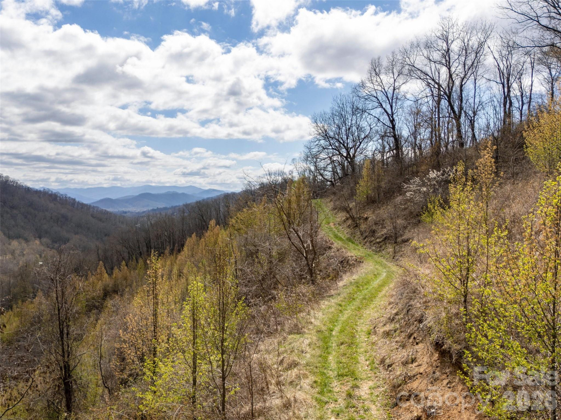 TBD Wilson Cove Road - Photo 8