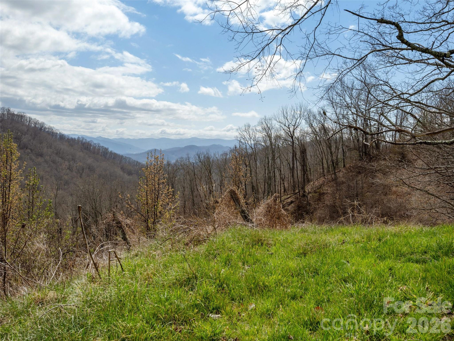 TBD Wilson Cove Road - Photo 9