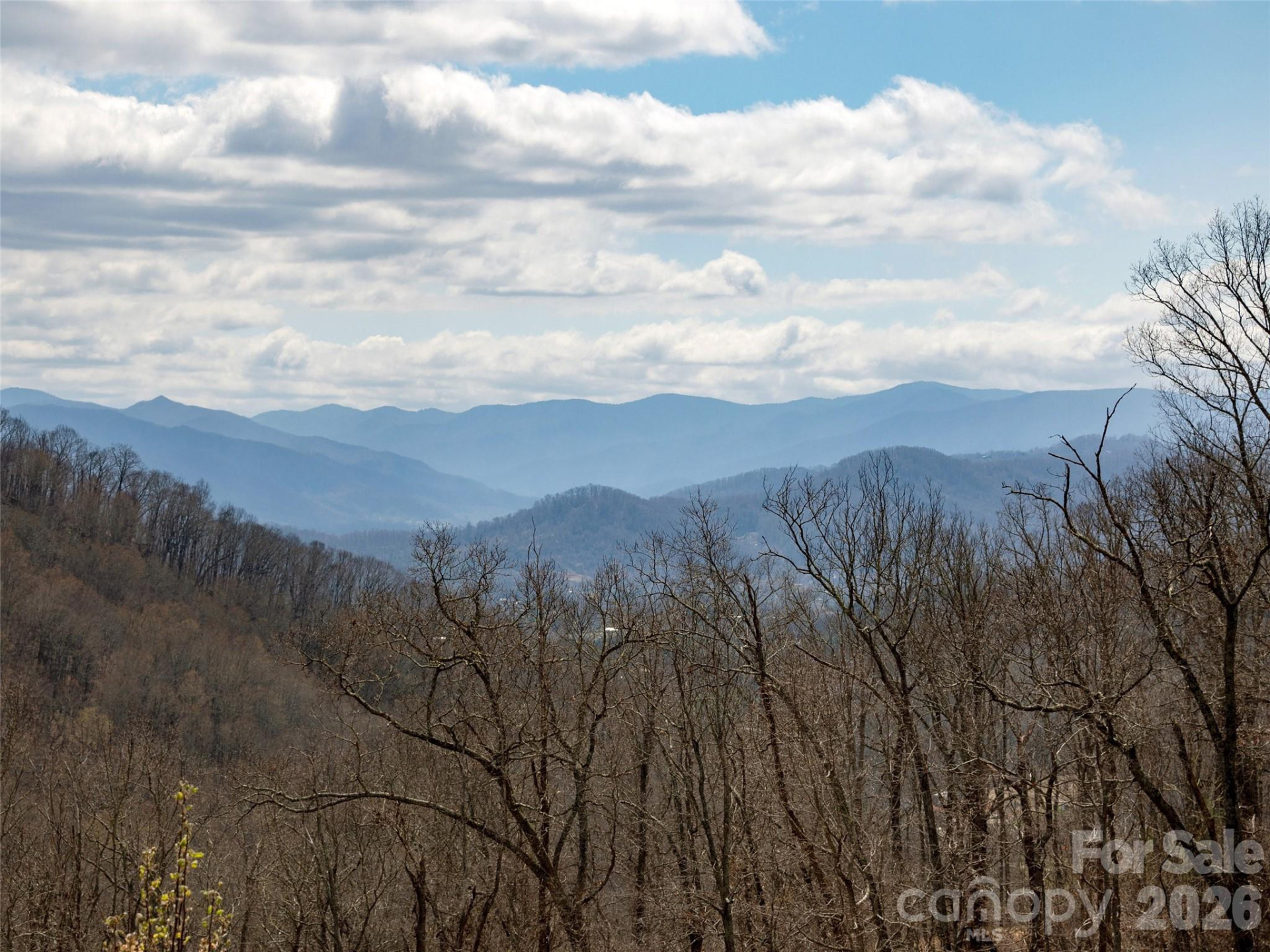 TBD Wilson Cove Road - Photo 10