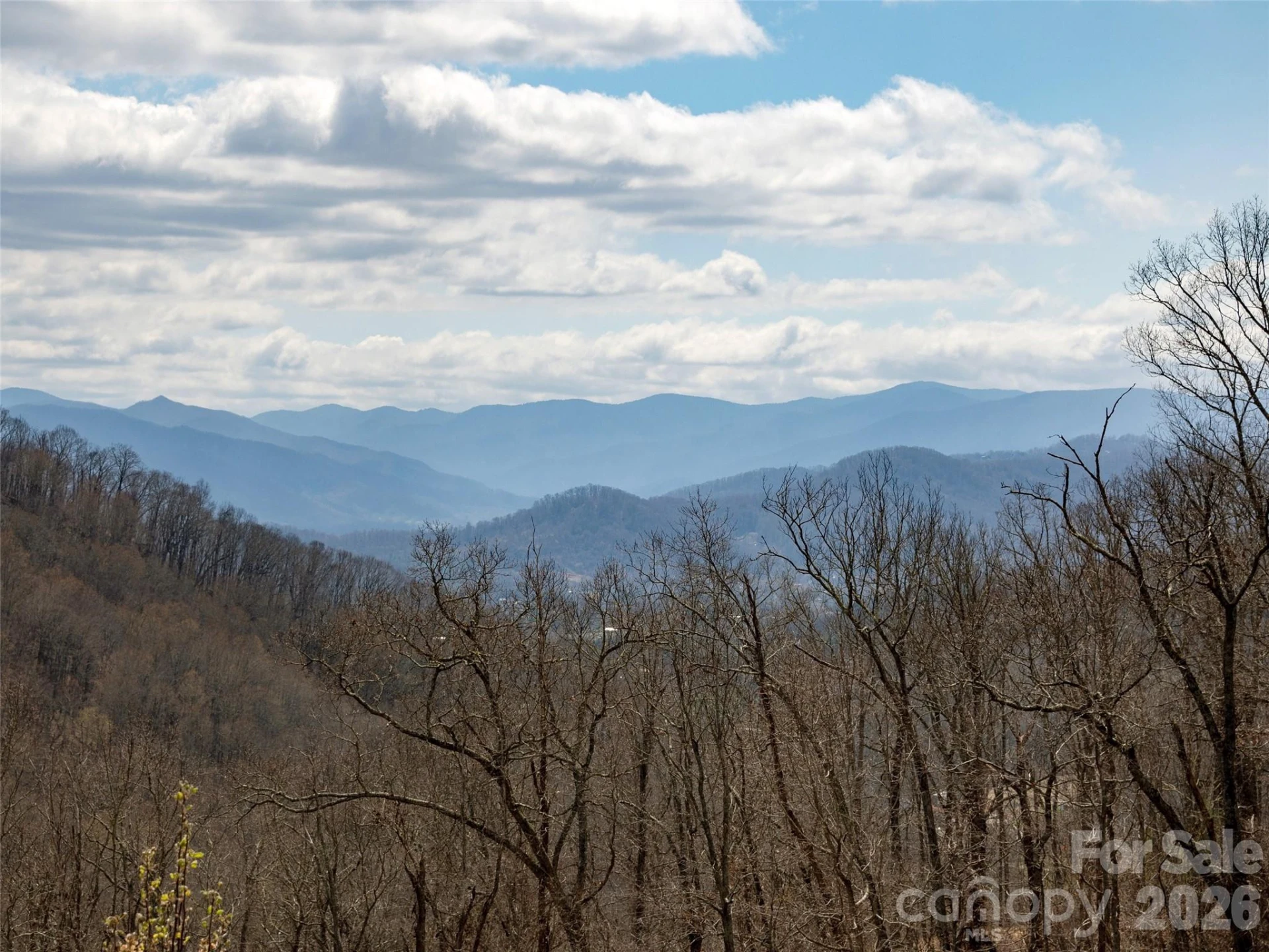 TBD Wilson Cove Road - Photo 10