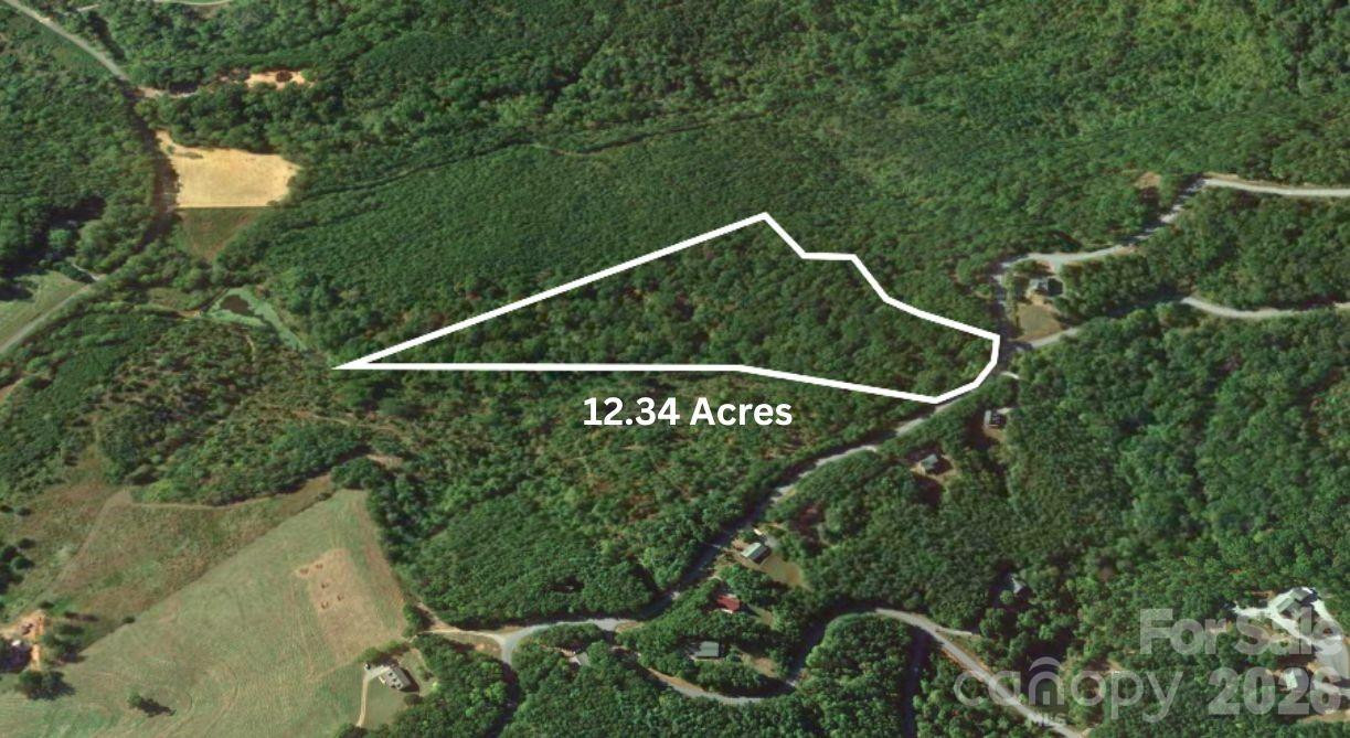 0 Arbra Mountain Road - Photo 2