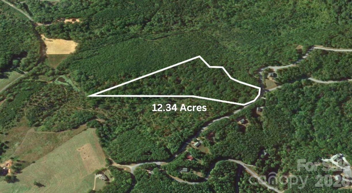 0 Arbra Mountain Road - Photo 2