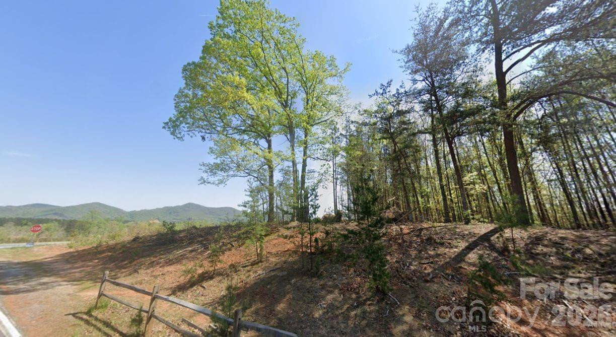 0 Arbra Mountain Road - Photo 13