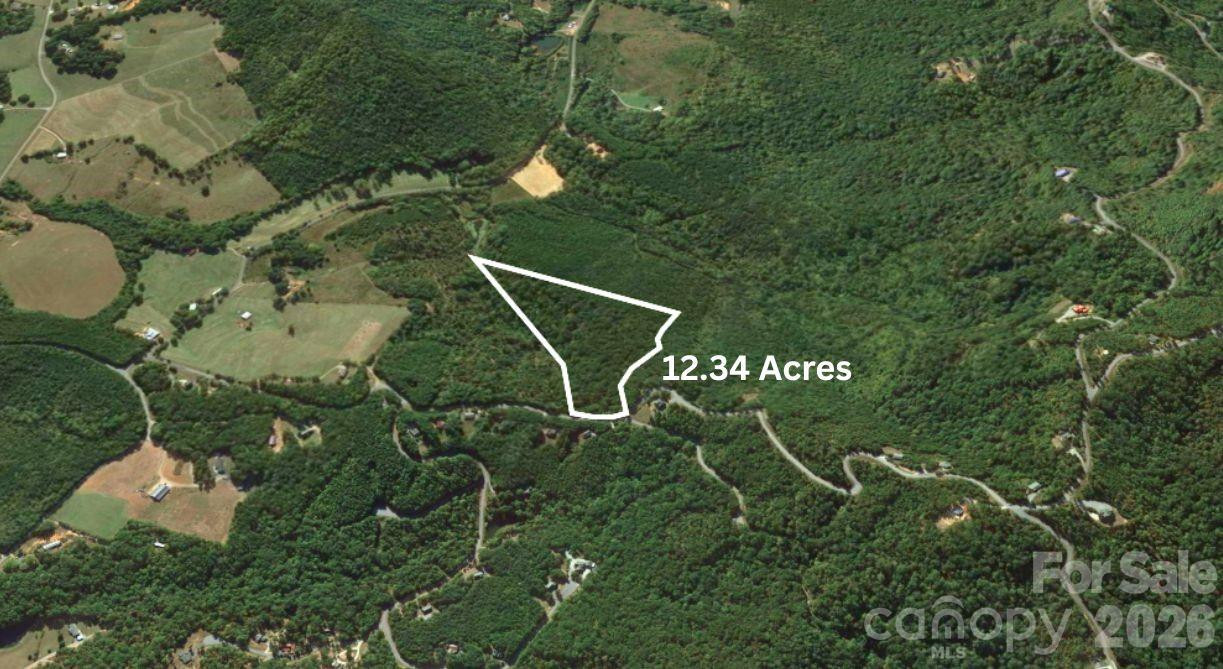 0 Arbra Mountain Road - Photo 3