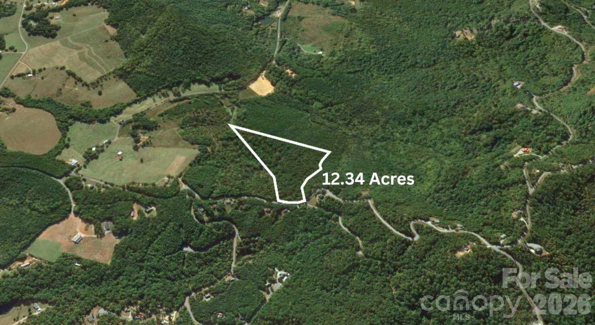 0 Arbra Mountain Road - Photo 3