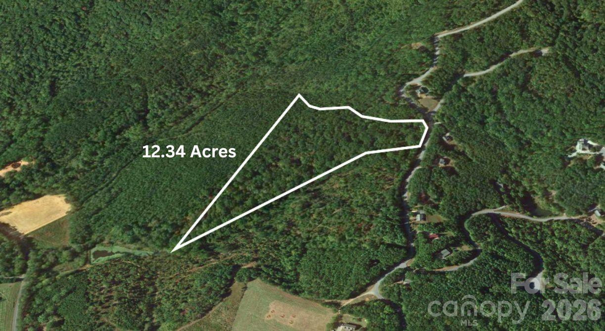 0 Arbra Mountain Road - Photo 4