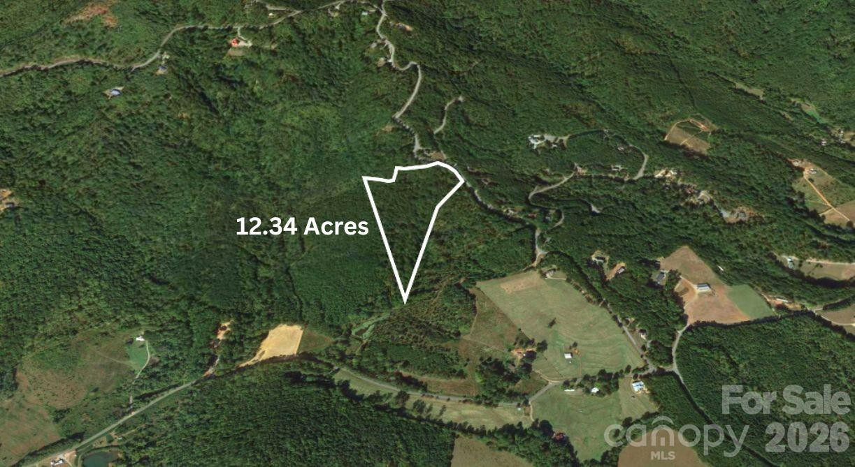 0 Arbra Mountain Road - Photo 5