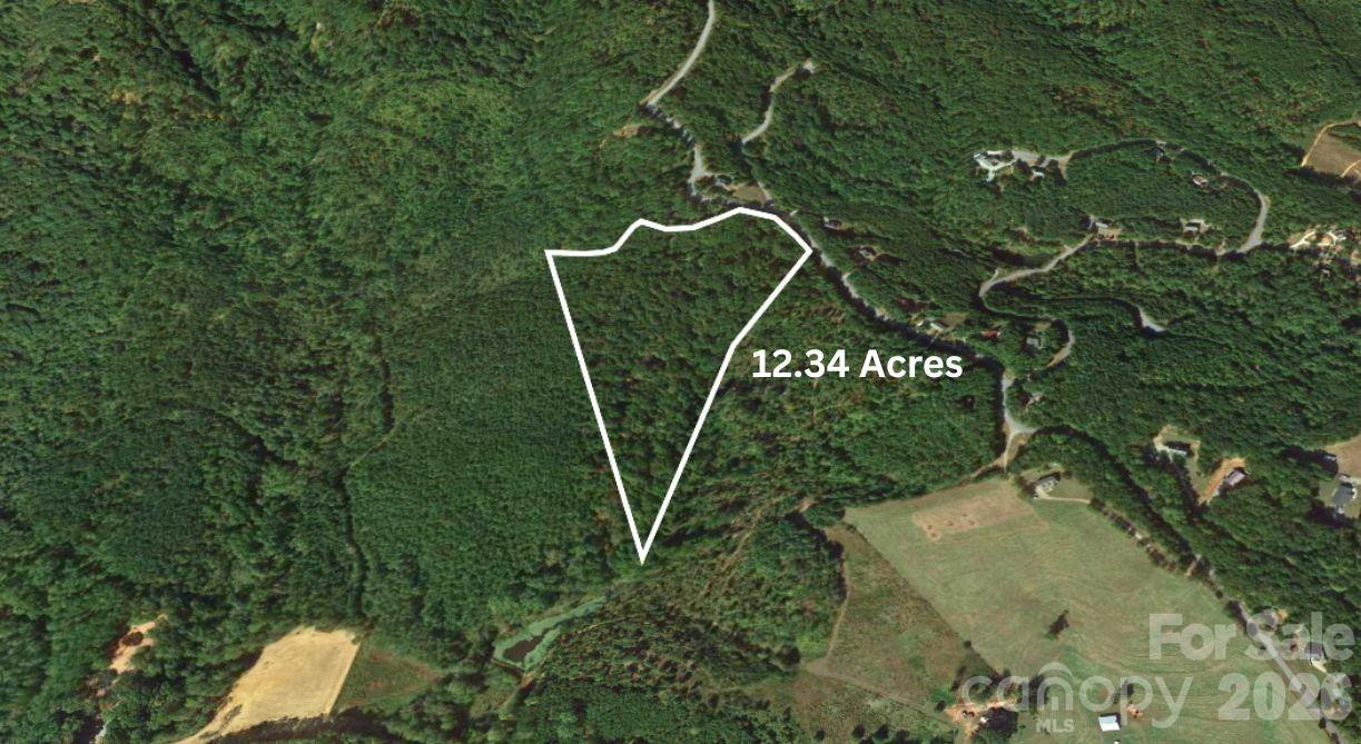 0 Arbra Mountain Road - Photo 6