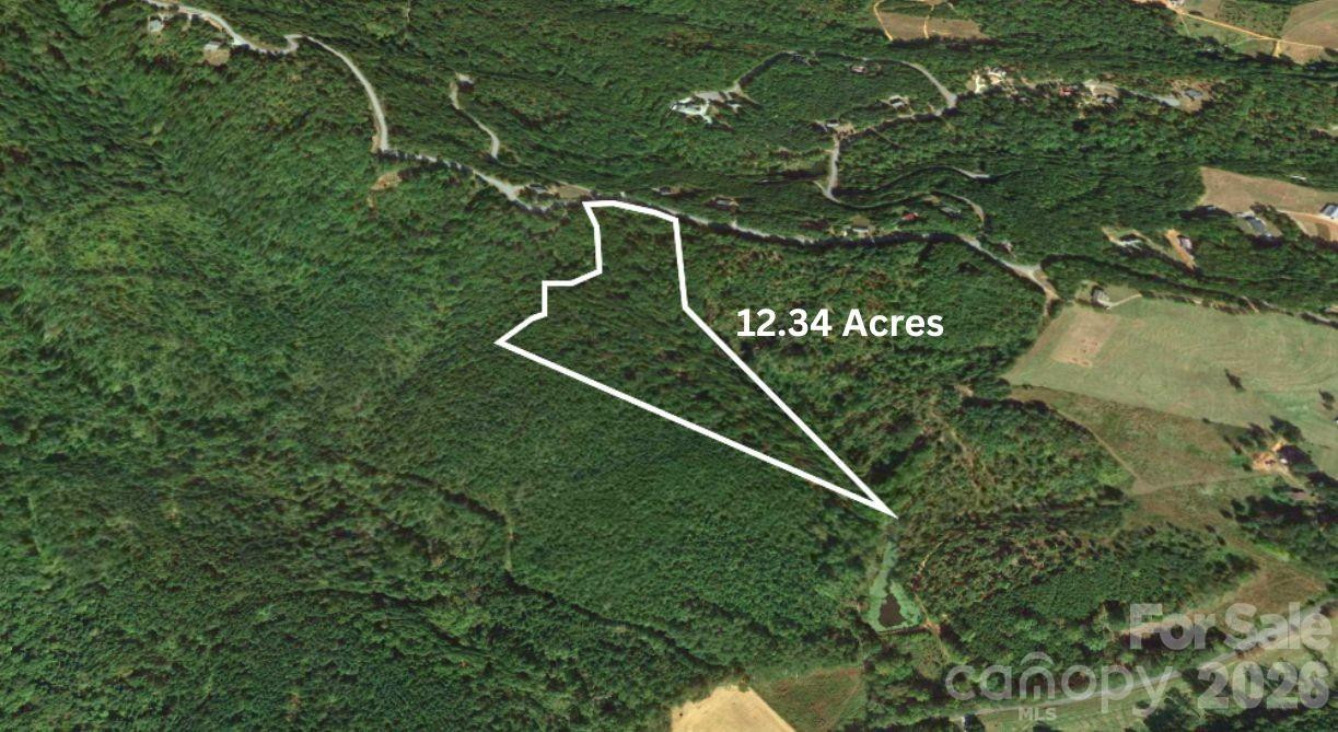 0 Arbra Mountain Road - Photo 7