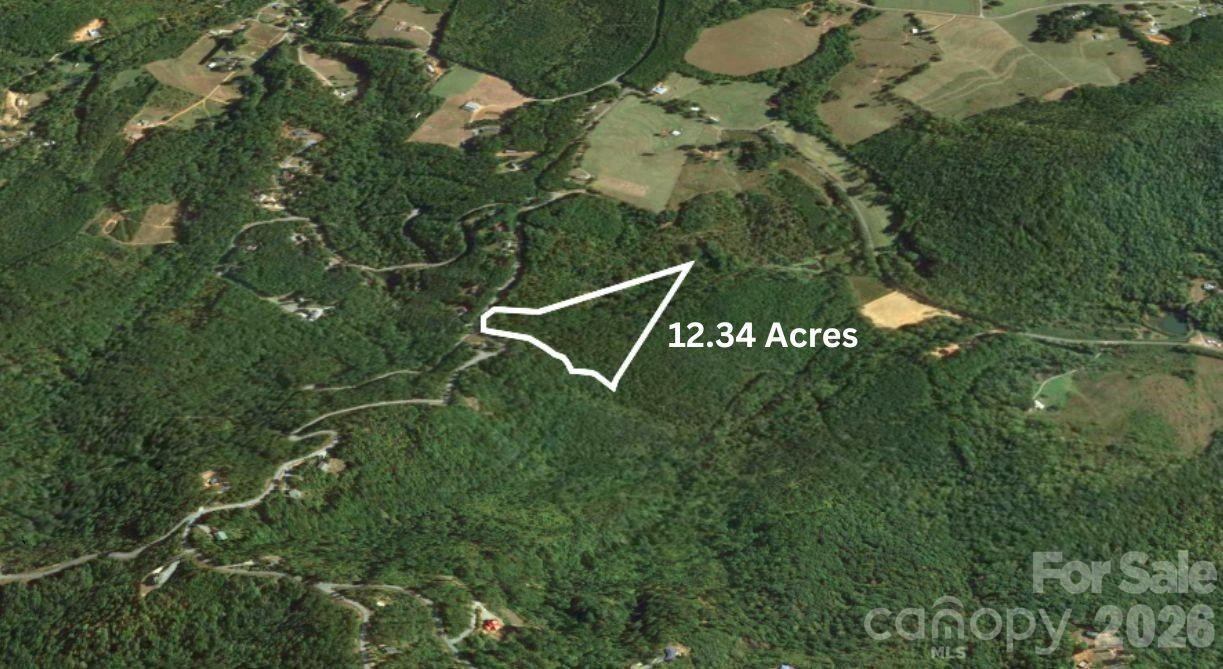 0 Arbra Mountain Road - Photo 8