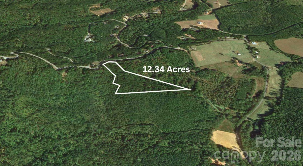 0 Arbra Mountain Road - Photo 9