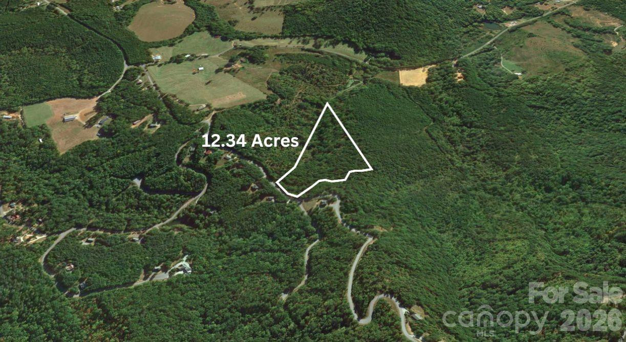 0 Arbra Mountain Road - Photo 10