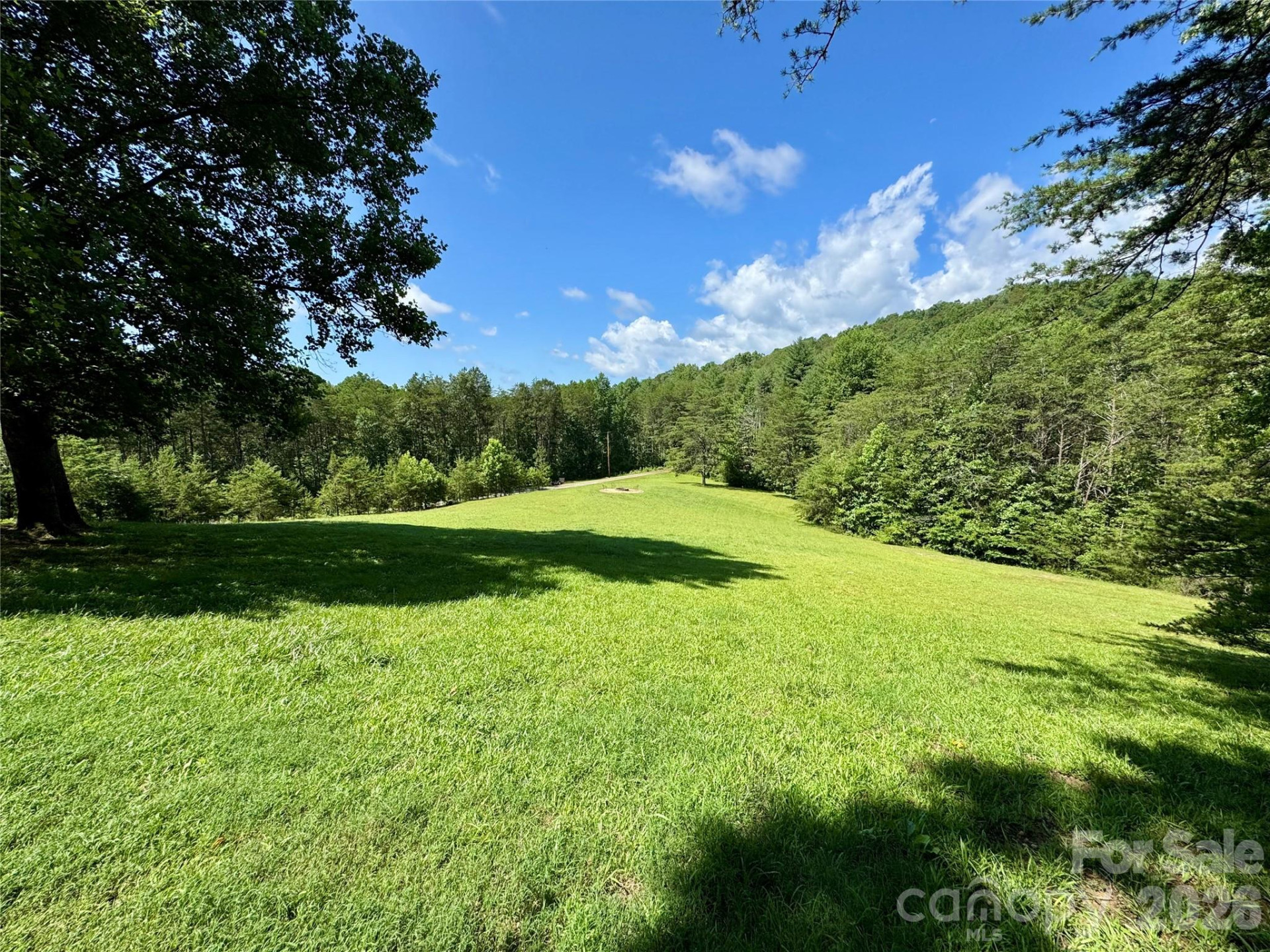 282 Calhoun Trail - Photo 3