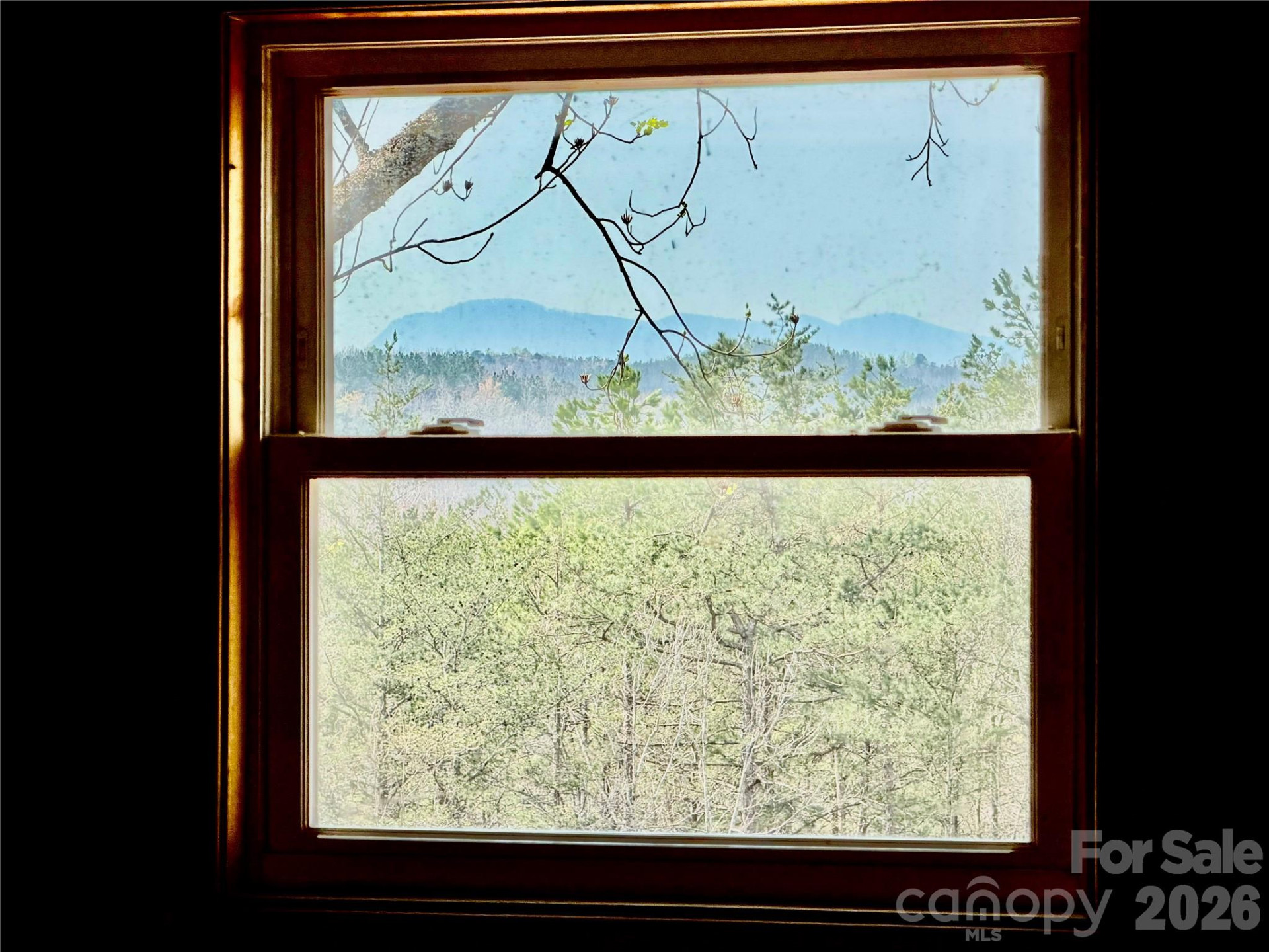 282 Calhoun Trail - Photo 4