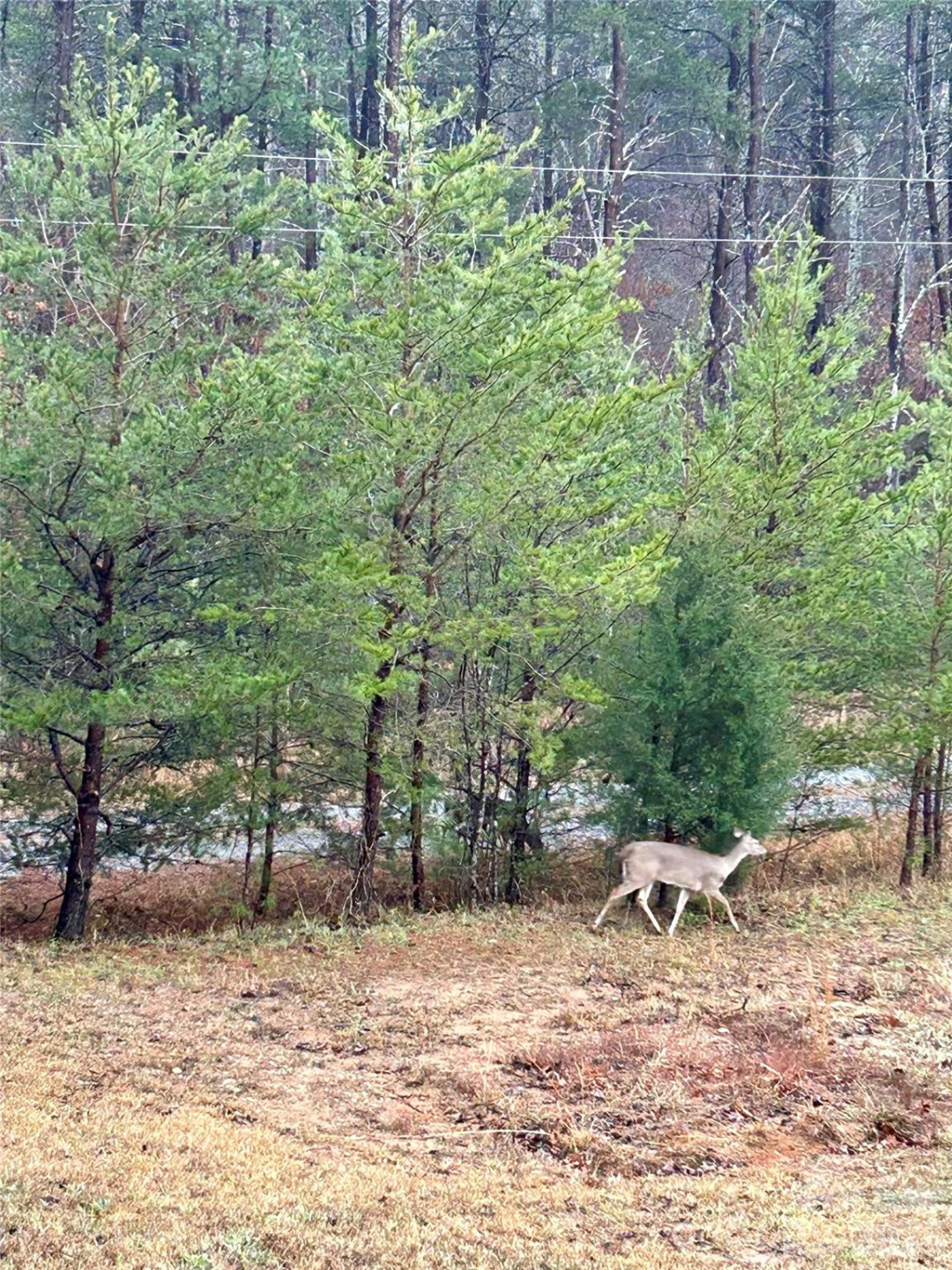 282 Calhoun Trail - Photo 42