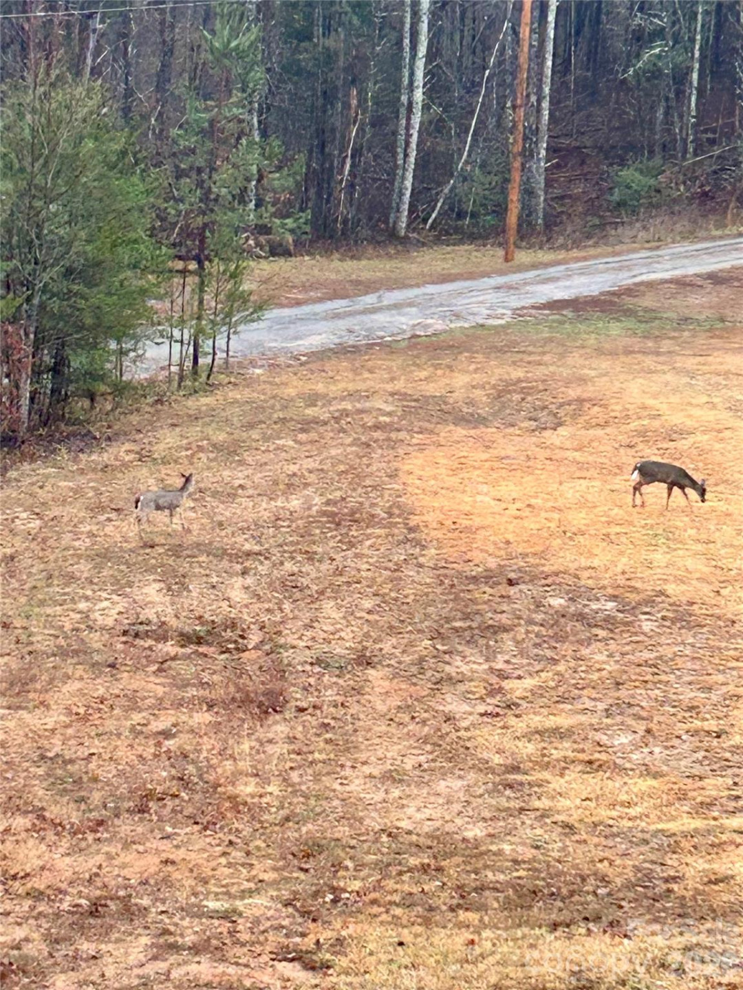 282 Calhoun Trail - Photo 43