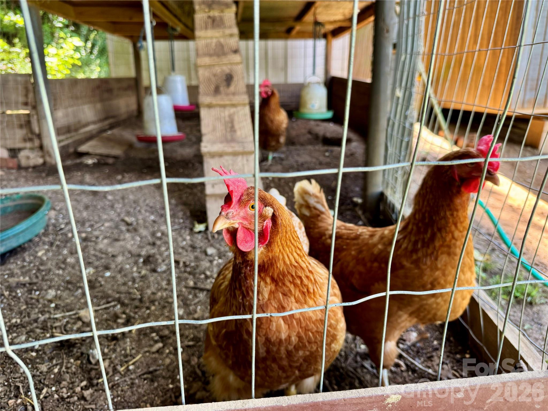 282 Calhoun Trail - Photo 45