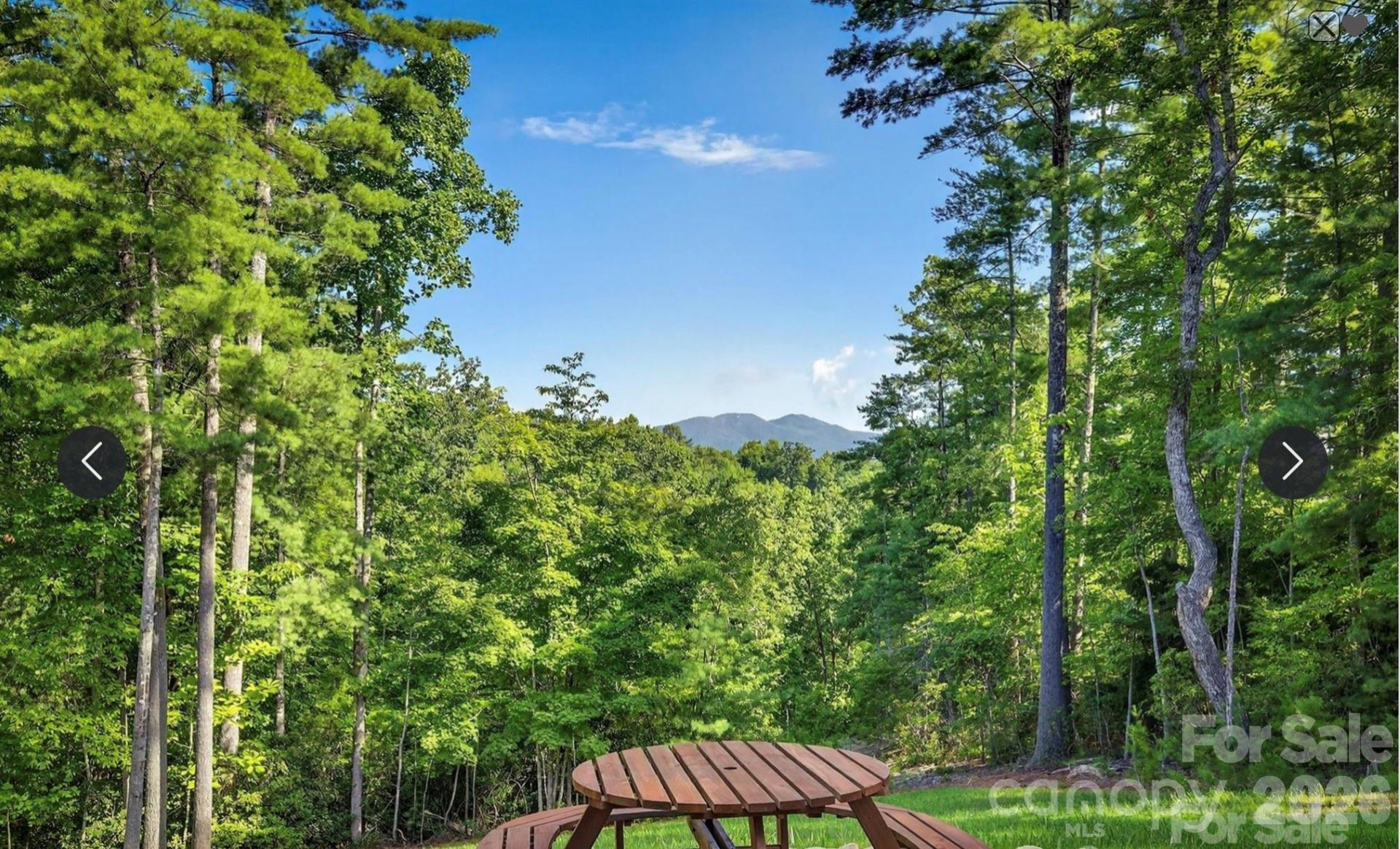 217 Sycamore Drive - Photo 42