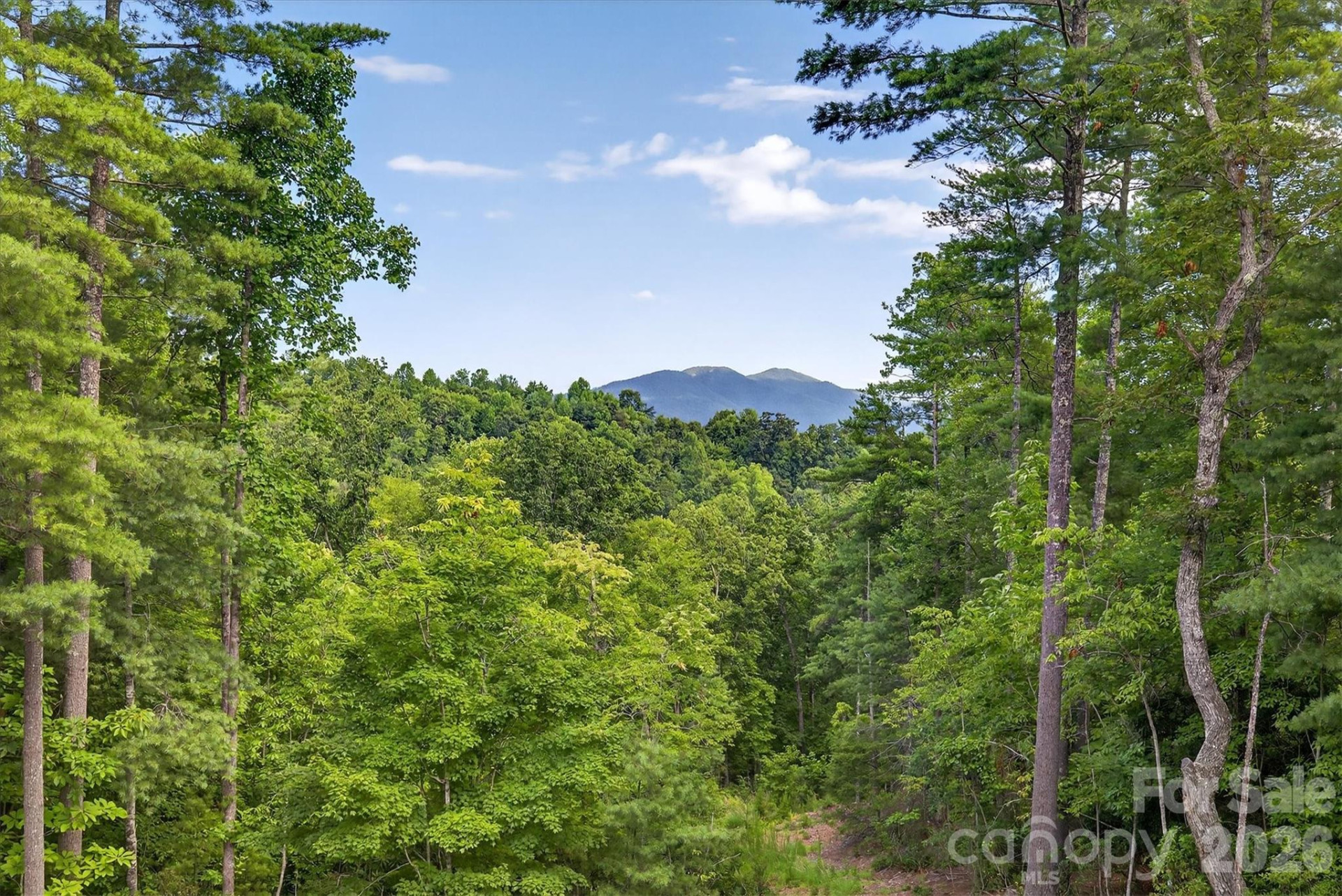 217 Sycamore Drive - Photo 44