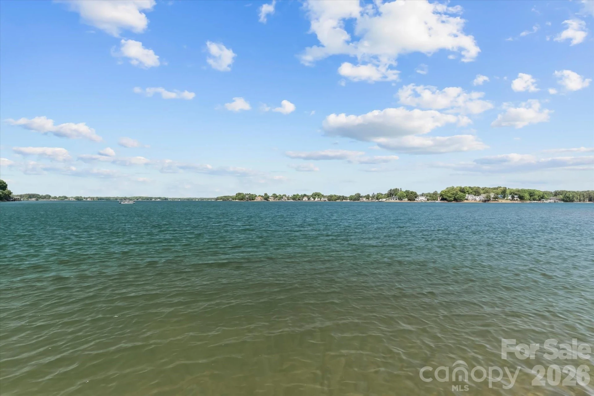 17821 Carlow Road - Photo 38
