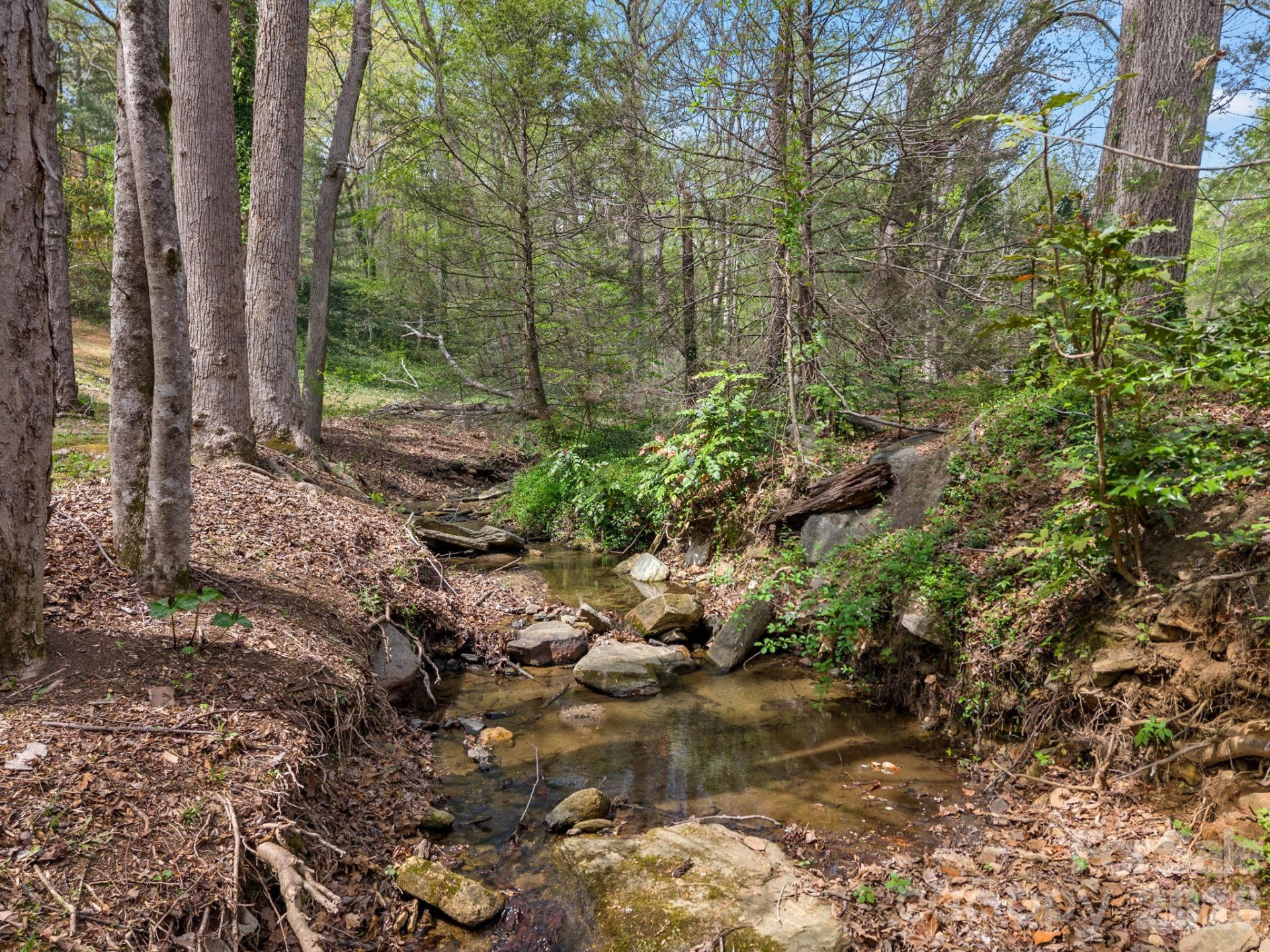 140 Meadowlark Drive - Photo 5