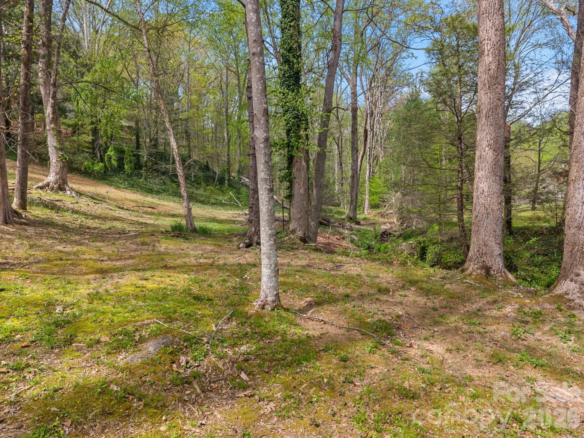 140 Meadowlark Drive - Photo 45