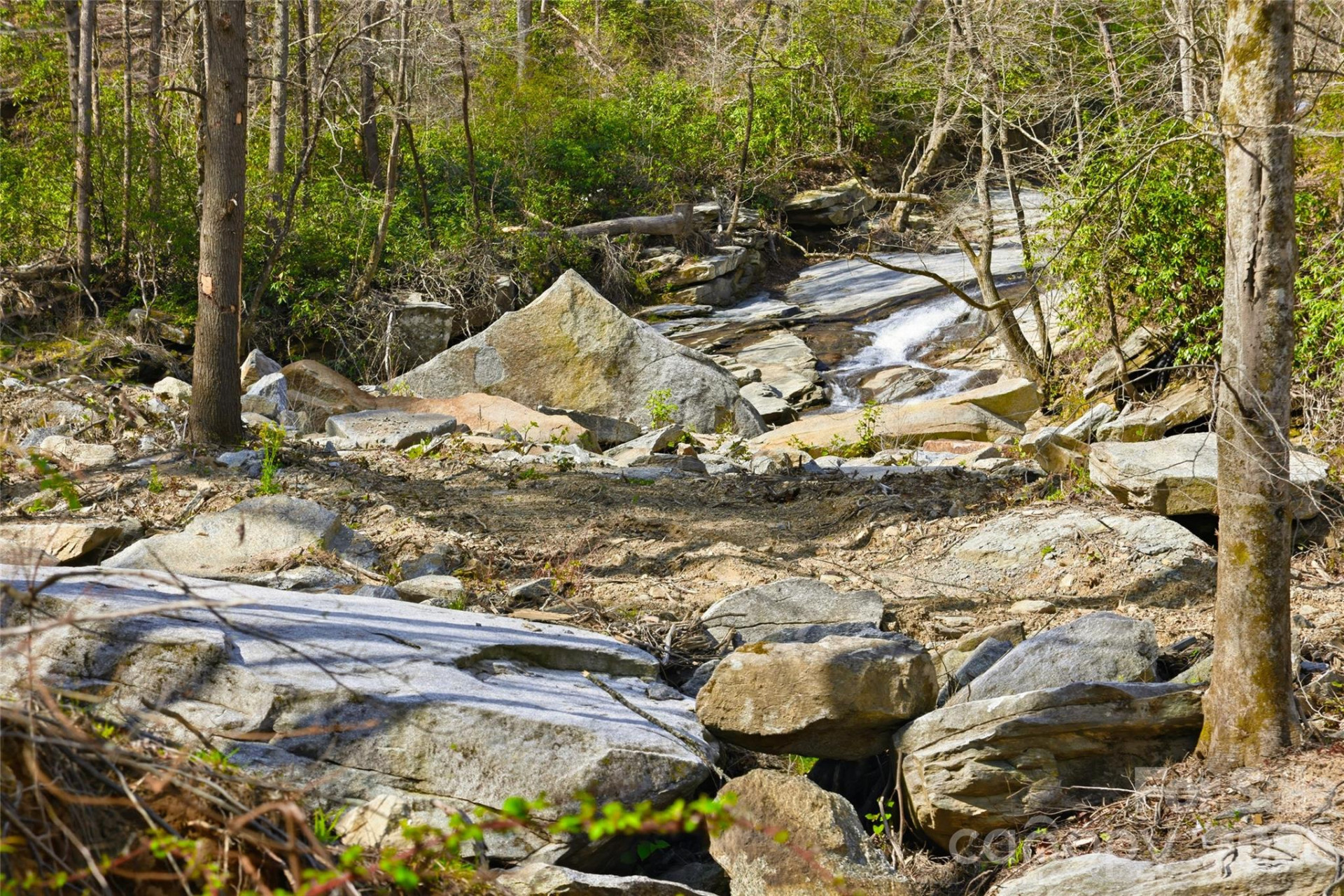 45 Alan Retreat Road - Photo 6