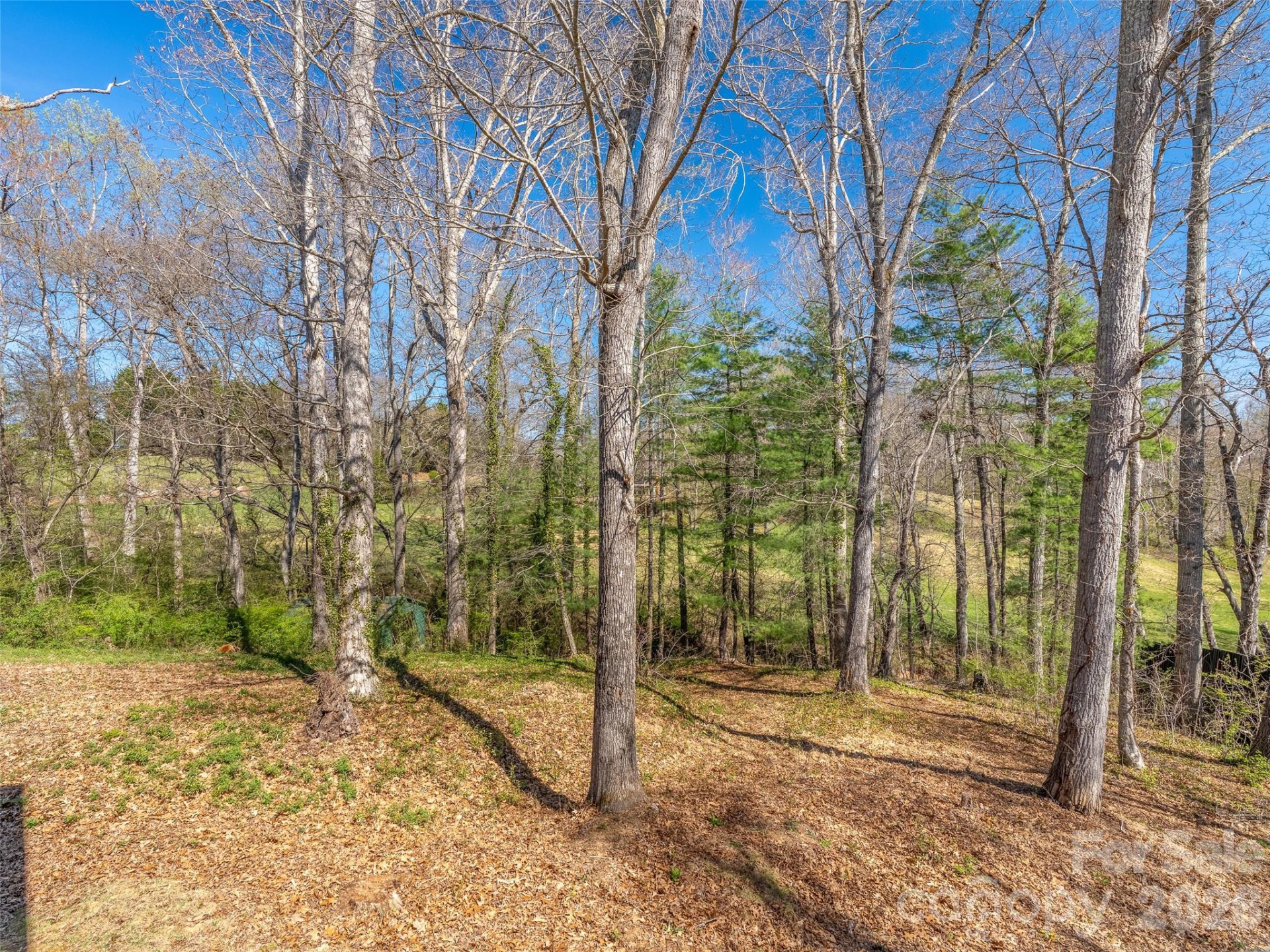 6, 8, 12 Jackson Cove Road - Photo 22