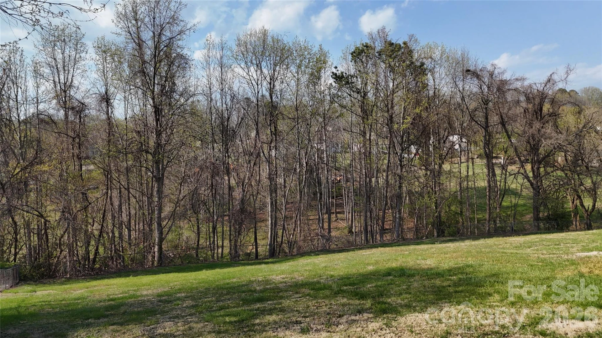 309 Morehead Drive - Photo 4