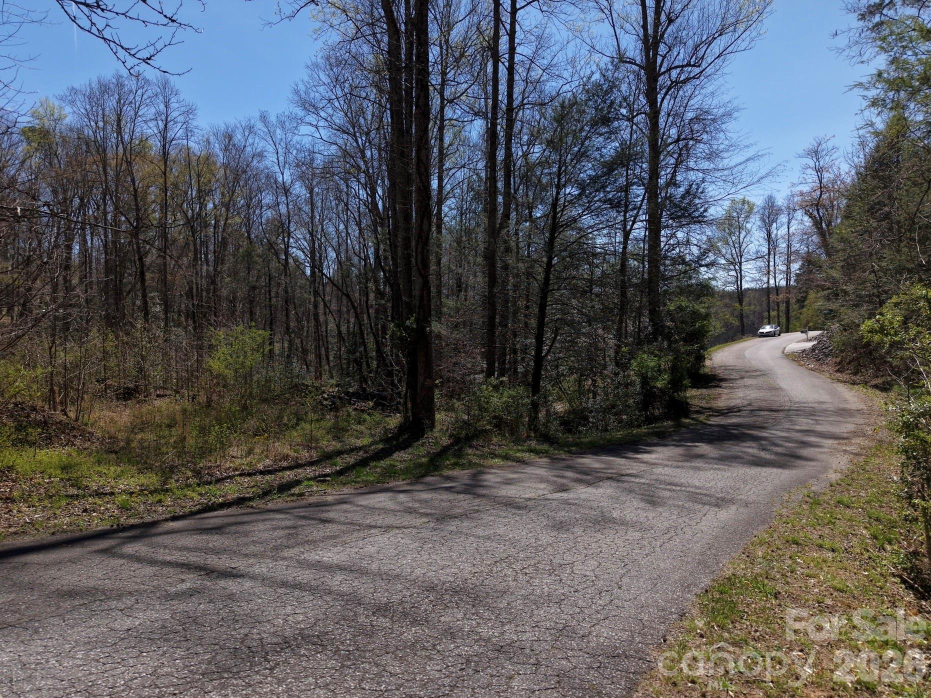 4659 Cedar Brook Lane - Photo 11