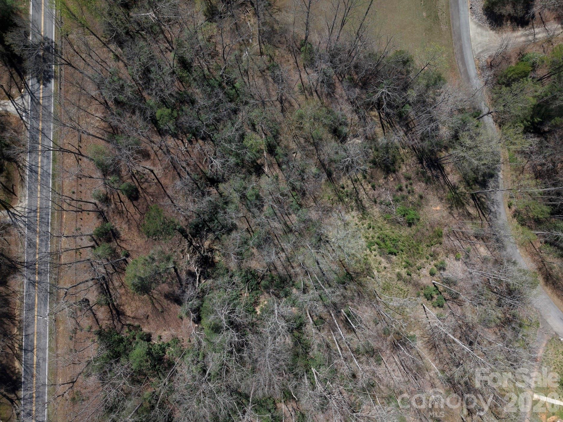 4659 Cedar Brook Lane - Photo 15