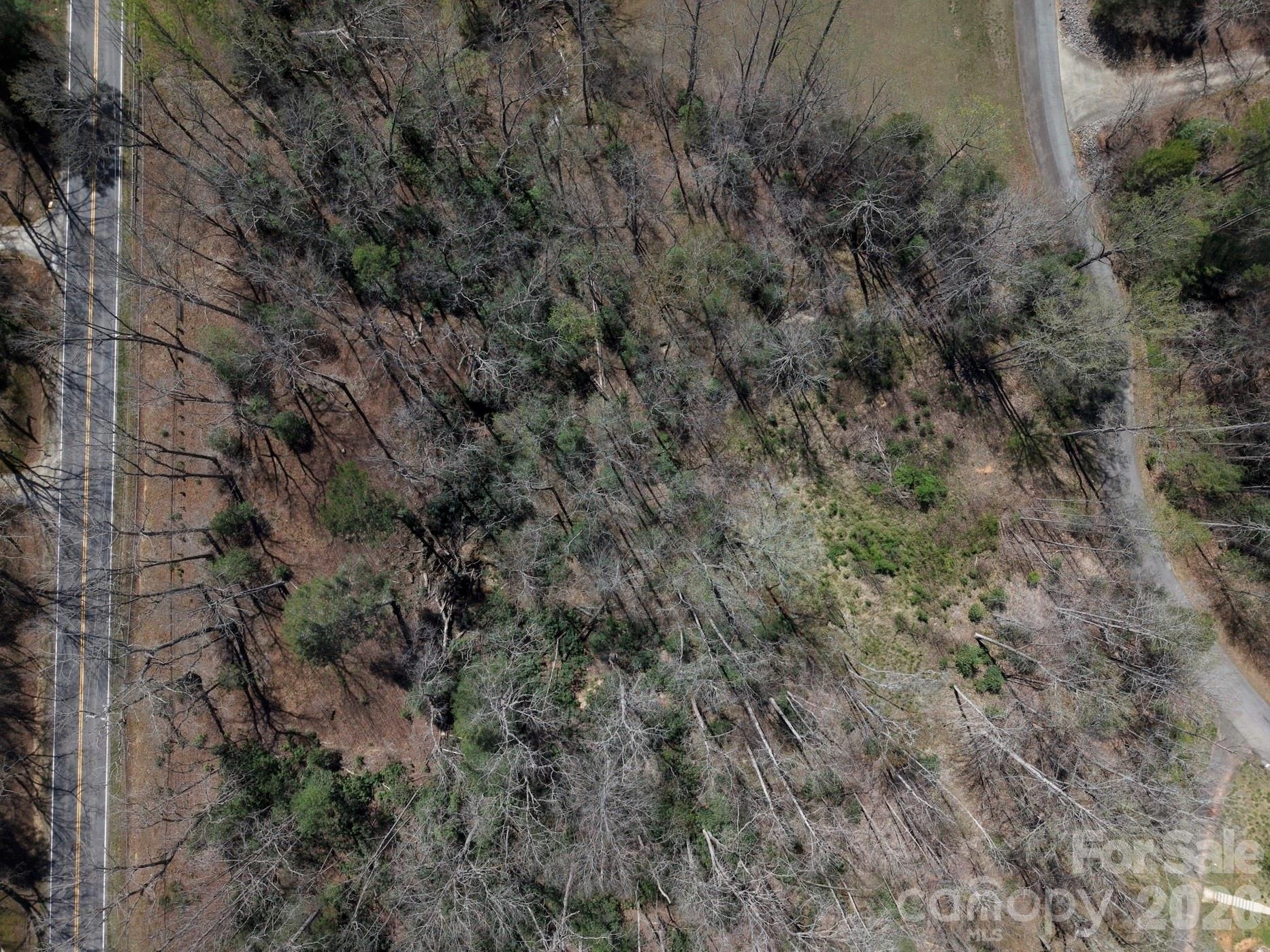 4659 Cedar Brook Lane - Photo 15