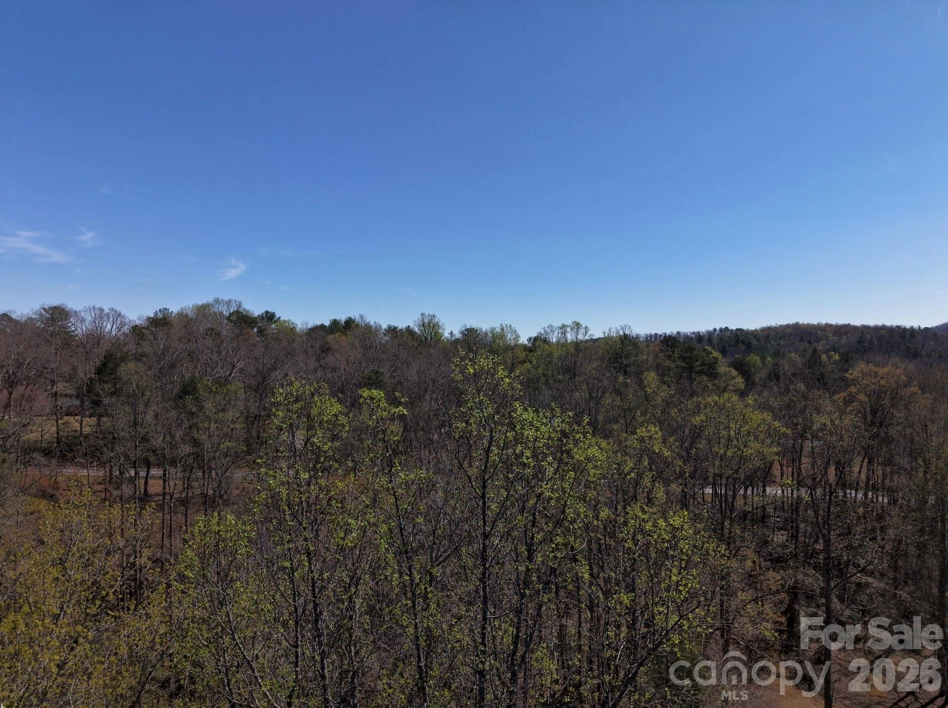 4659 Cedar Brook Lane - Photo 17