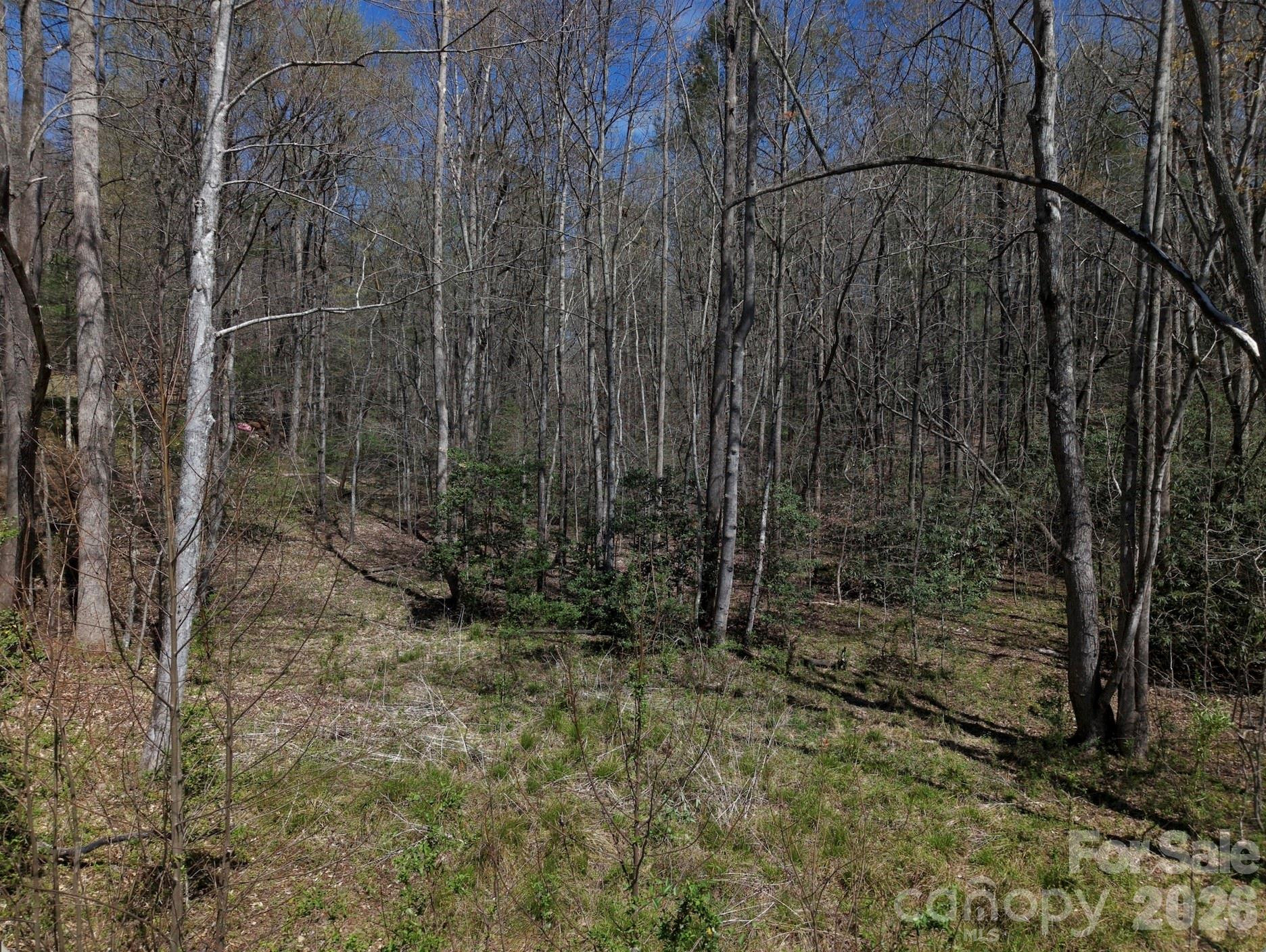 4659 Cedar Brook Lane - Photo 3