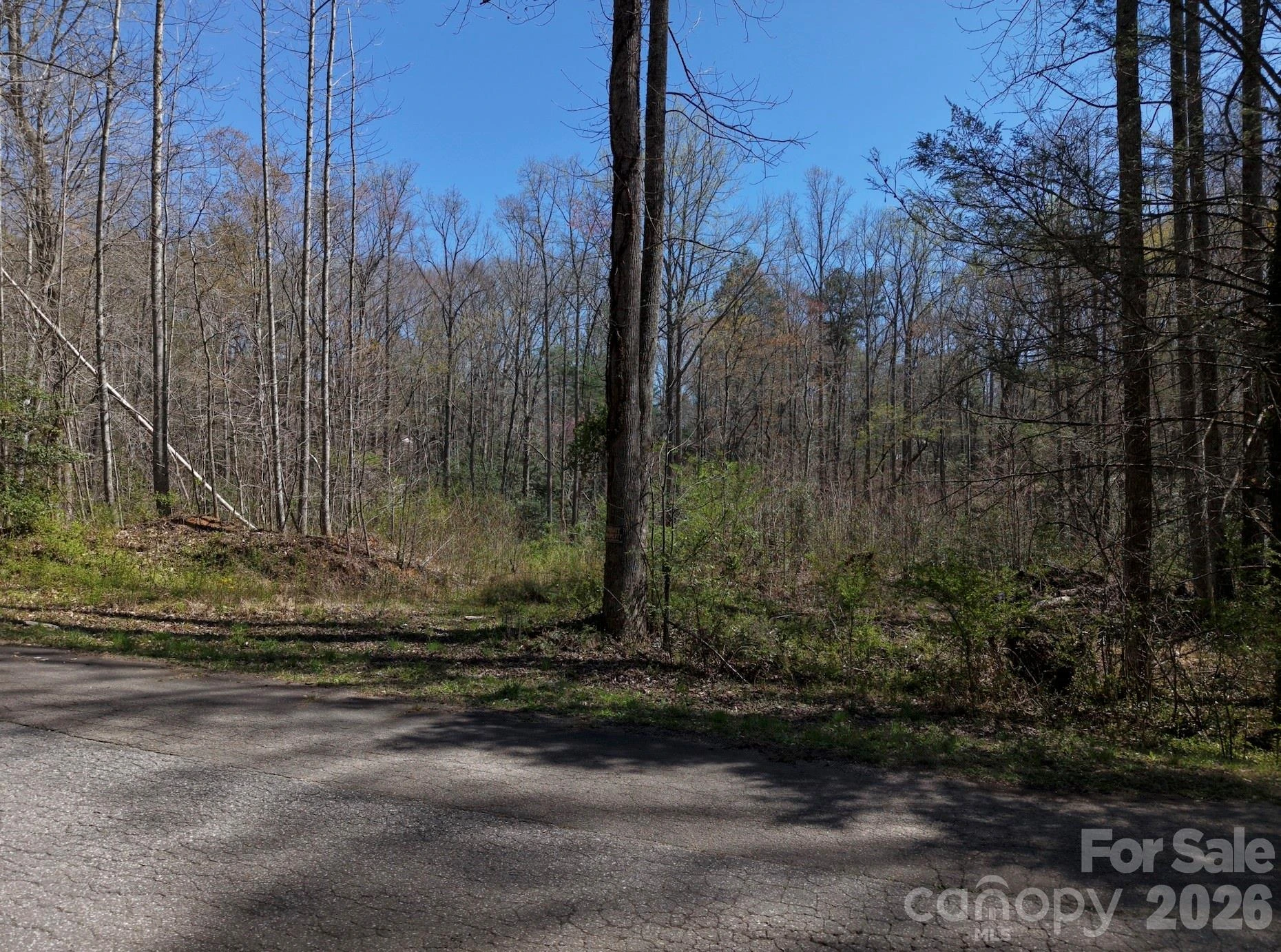 4659 Cedar Brook Lane - Photo 5