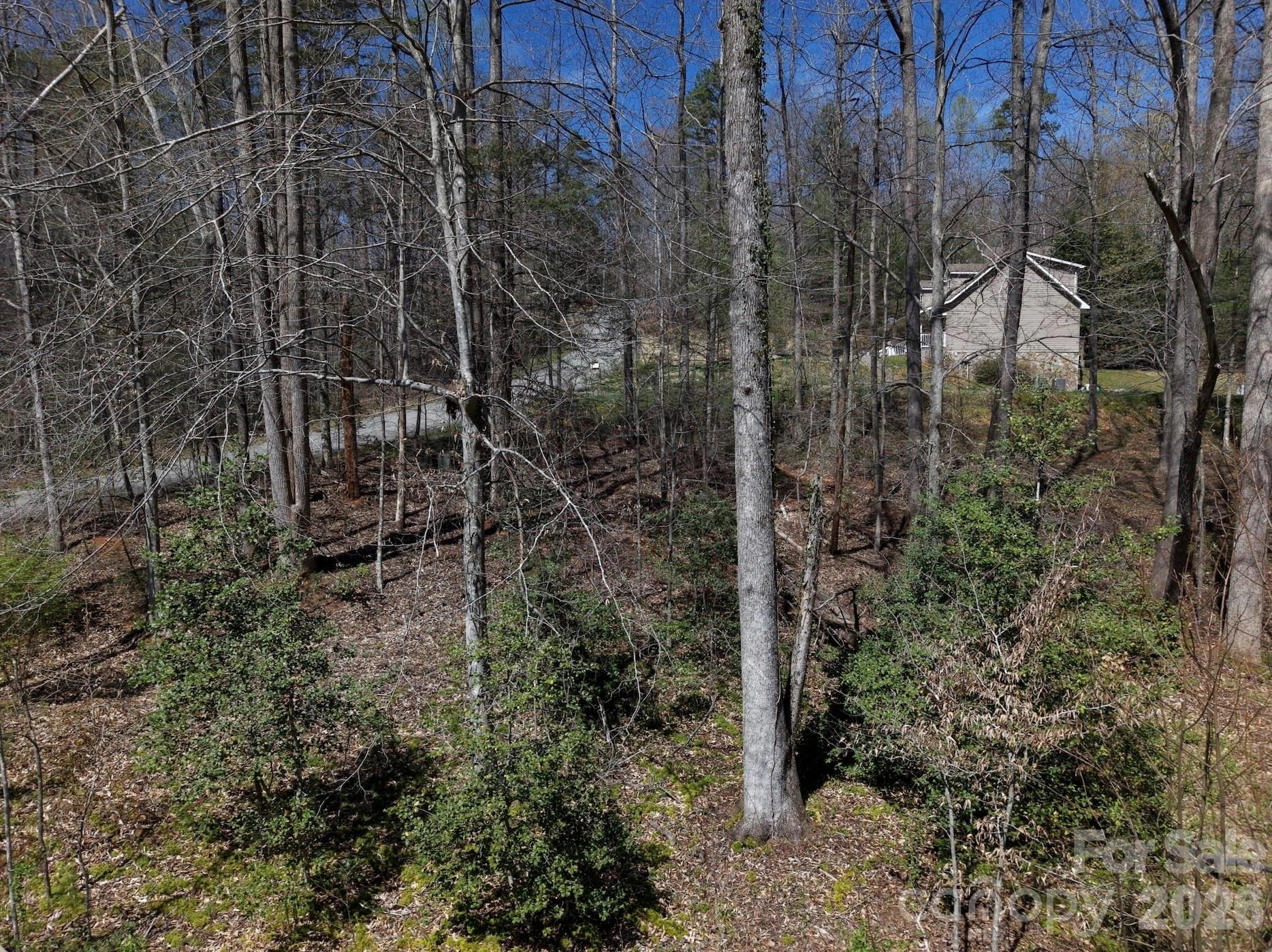 4659 Cedar Brook Lane - Photo 6