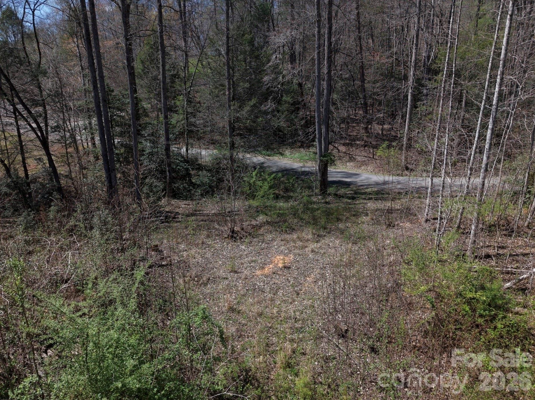 4659 Cedar Brook Lane - Photo 7