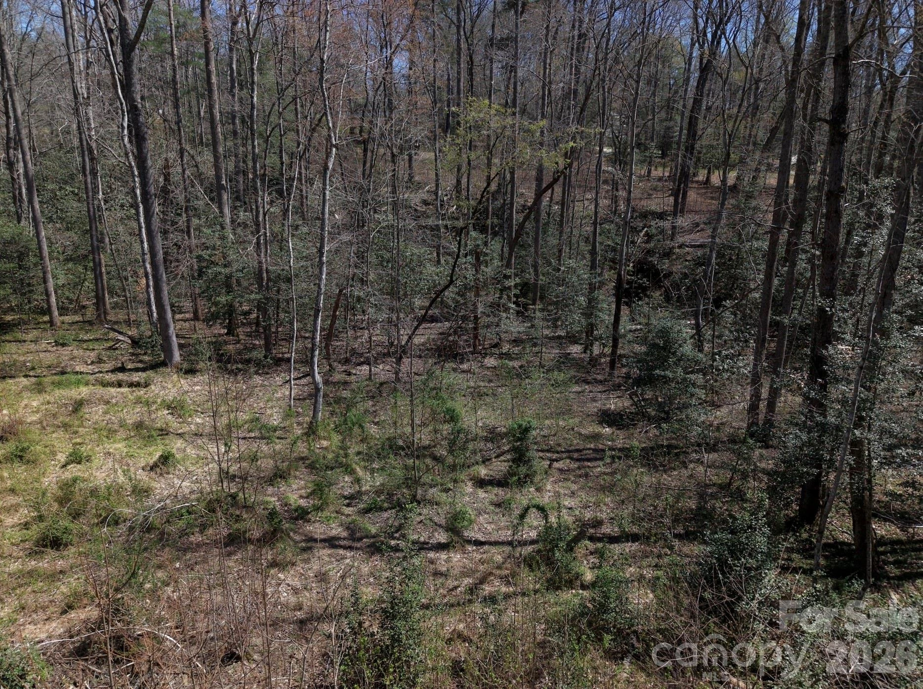 4659 Cedar Brook Lane - Photo 8