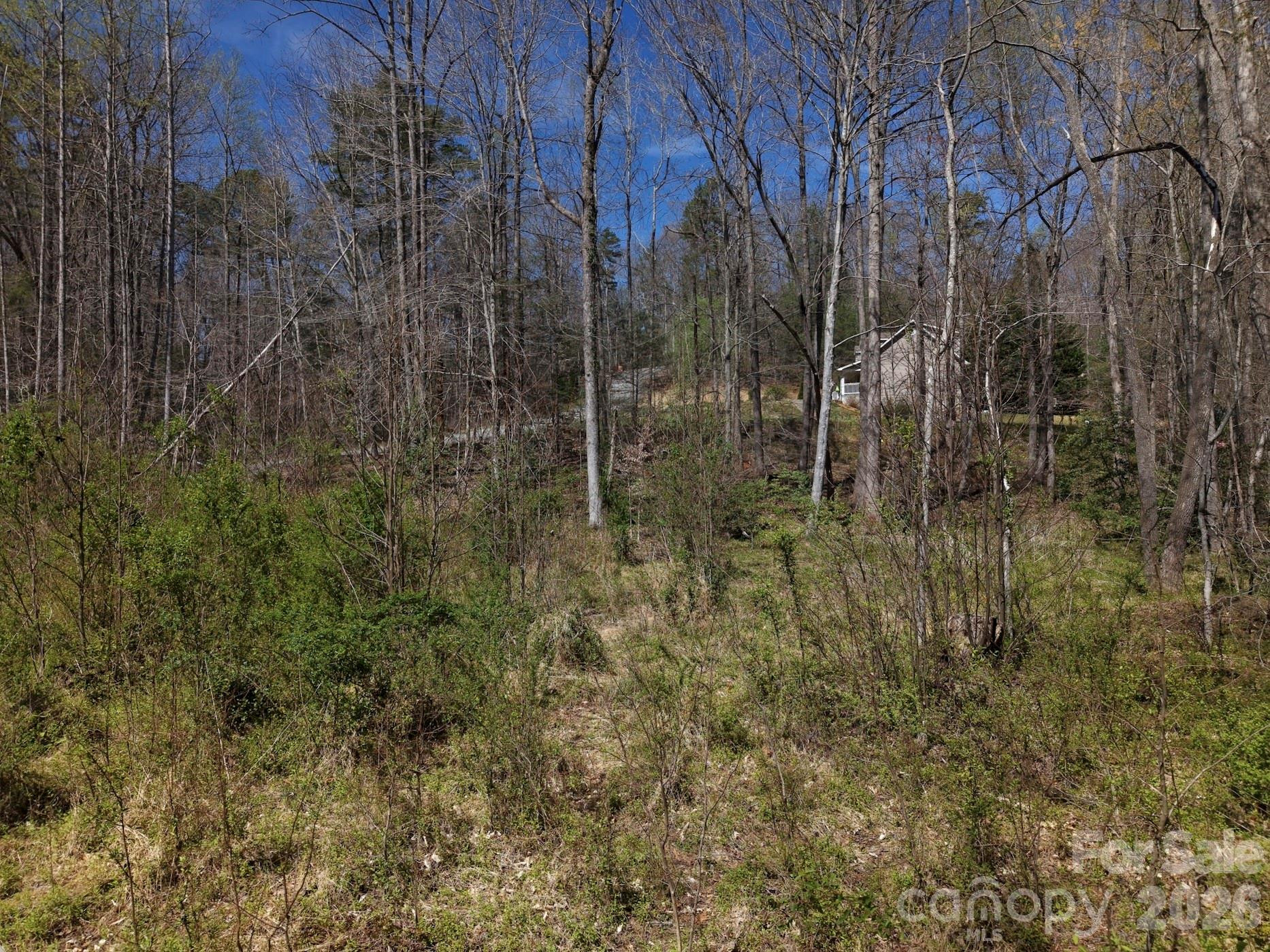 4659 Cedar Brook Lane - Photo 10