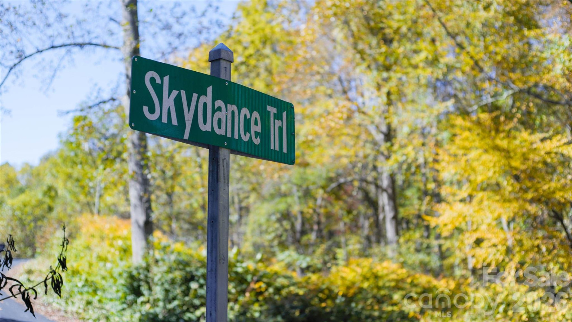 106 Skydance Trail - Photo 11