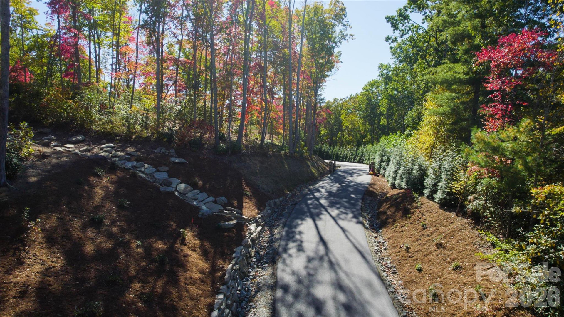 106 Skydance Trail - Photo 3