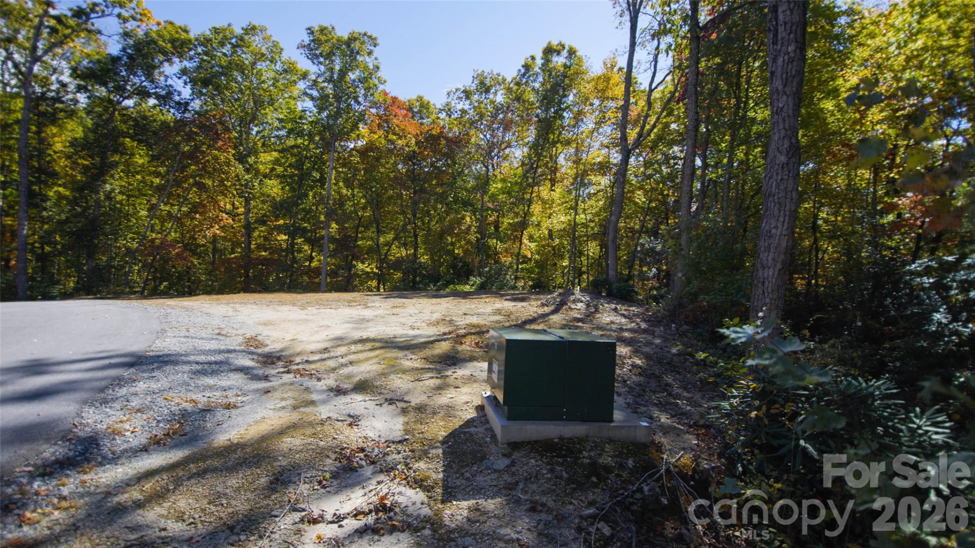 106 Skydance Trail - Photo 5