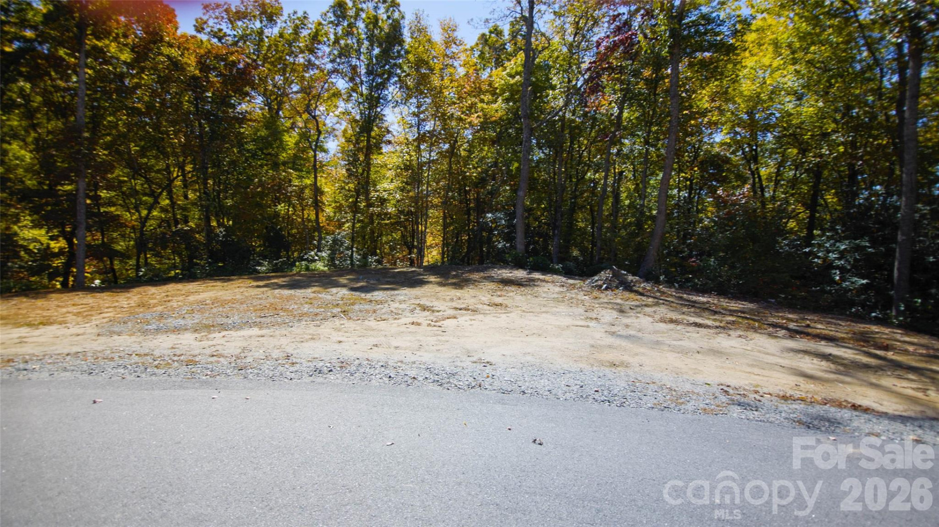 106 Skydance Trail - Photo 6