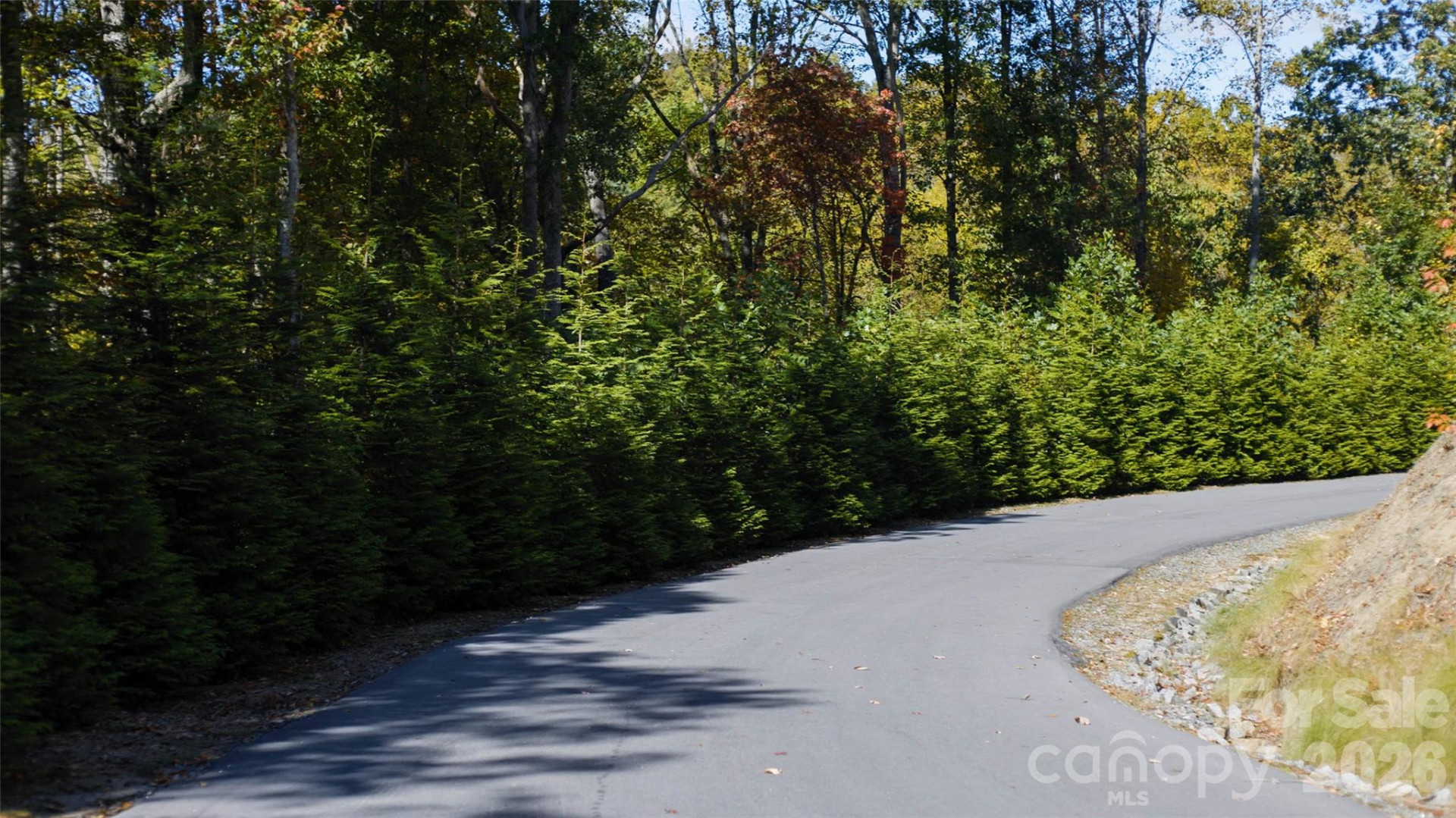 106 Skydance Trail - Photo 8