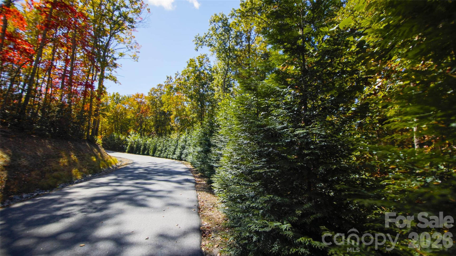 106 Skydance Trail - Photo 9