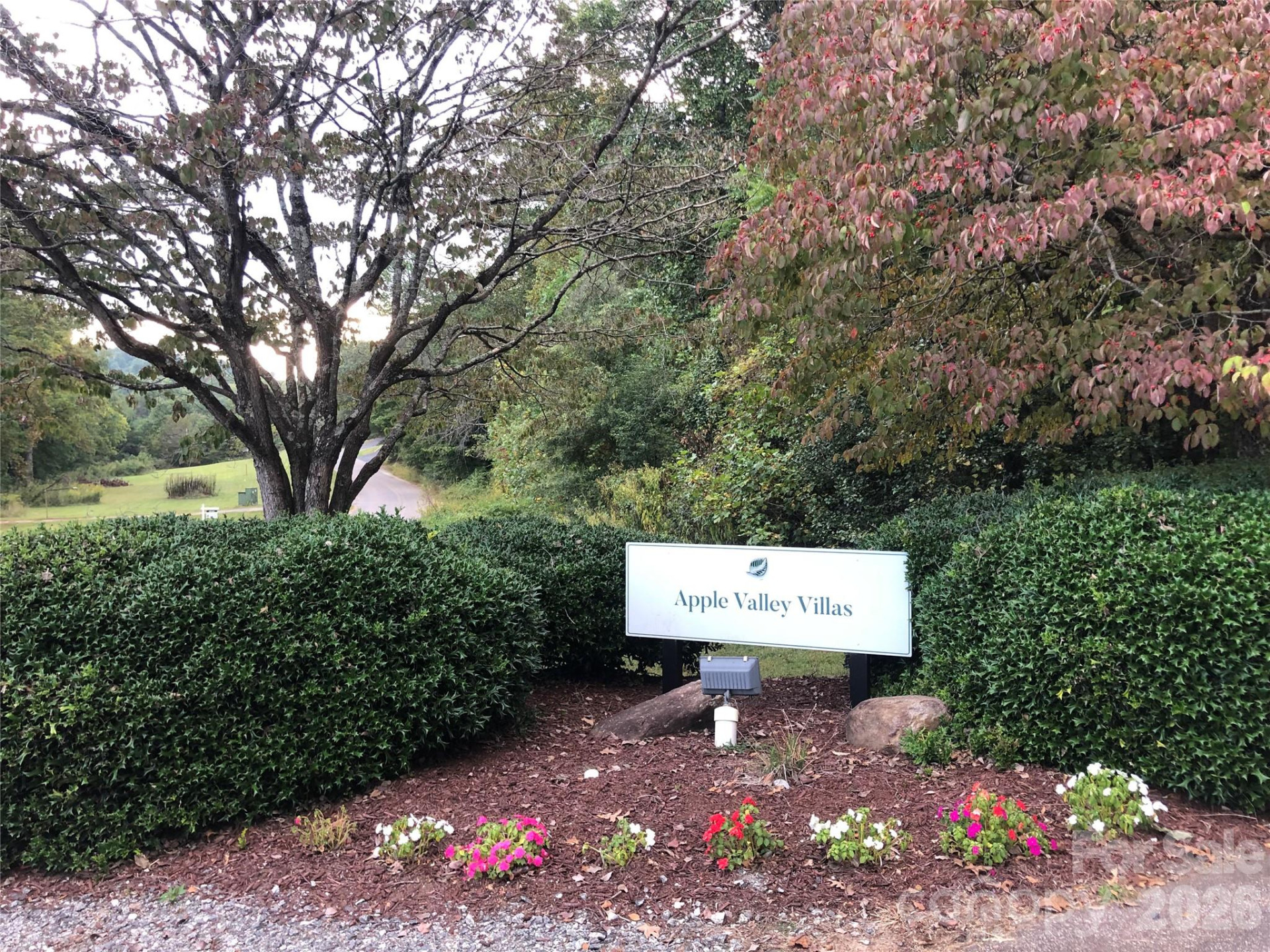 160 Whitney Boulevard #31 - Photo 19