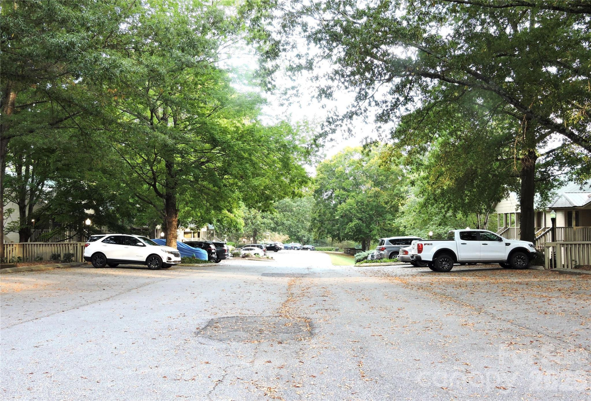 160 Whitney Boulevard #31 - Photo 23