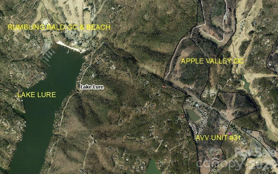 160 Whitney Boulevard #31 - Photo 24