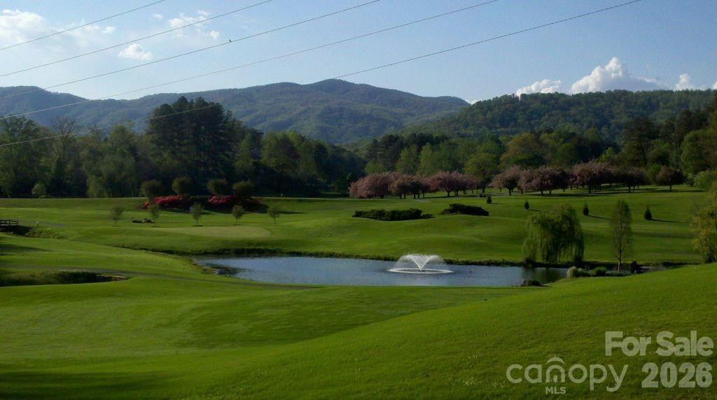 160 Whitney Boulevard #31 - Photo 25