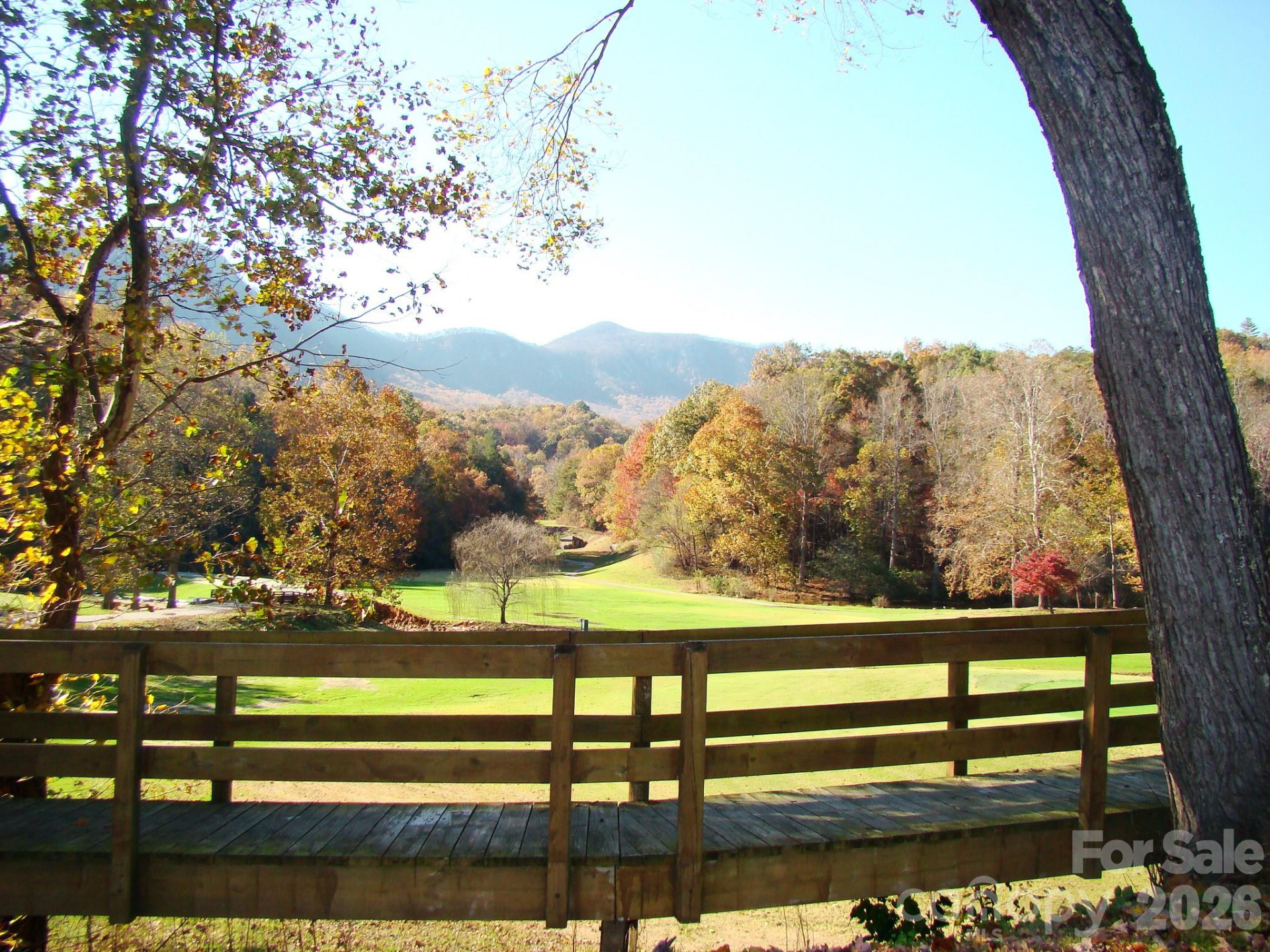 160 Whitney Boulevard #31 - Photo 29